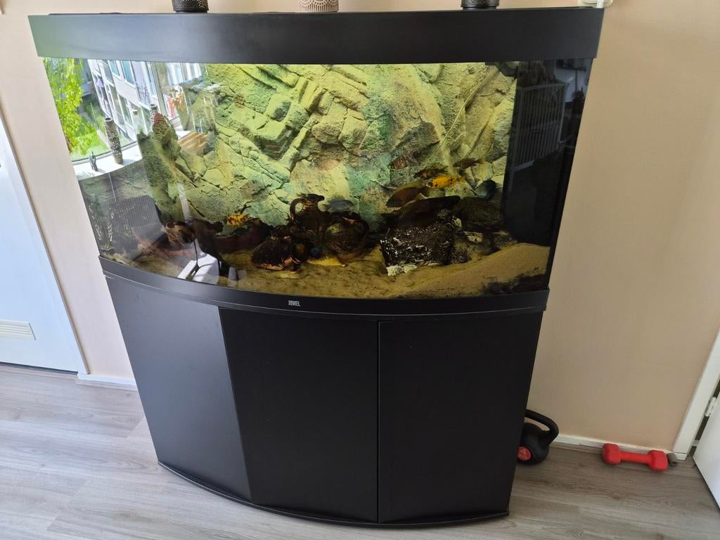 Juwel aquarium 250 liter met meubel, Dieren en Toebehoren, Ophalen, Gebruikt, Gevuld zoetwateraquarium, Inclusief toebehoren