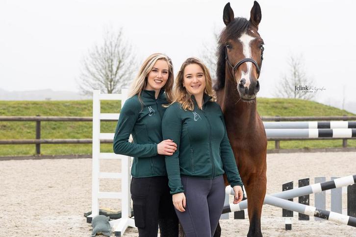 Ruimte vrij voor trainingspaard, Diensten en Vakmensen, Dieren | Paarden | Verzorging, Oppas en Les