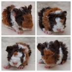 Te koop Lunkarya baby's, Dieren en Toebehoren, Knaagdieren, Cavia, Juli, Meerdere dieren, Tam