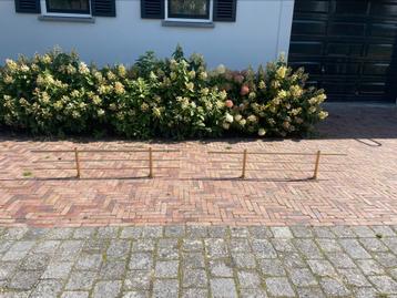 2 gouden parkeerpaaltjes met een lage afzetting beschikbaar voor biedingen