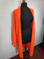 Lekker kek kleurtje, neon oranje., Kleding | Dames, Truien en Vesten, Ophalen, Zo goed als nieuw, Oranje