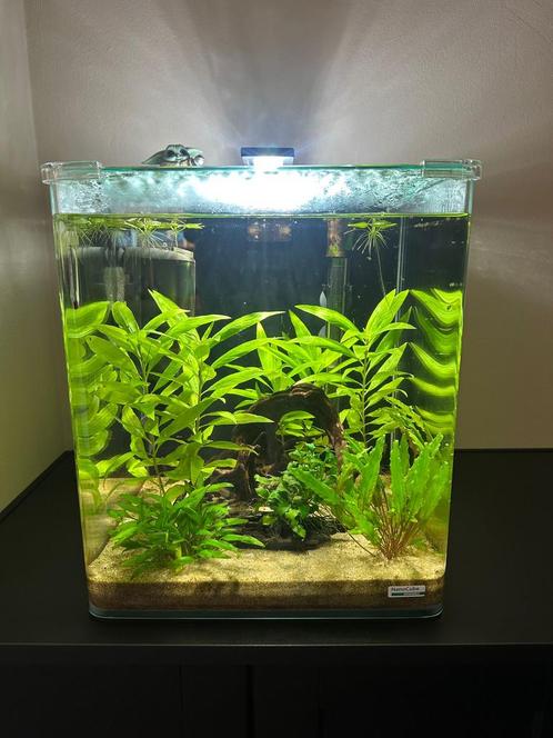 Dennerle 30 cube, Dieren en Toebehoren, Vissen | Aquaria en Toebehoren, Gebruikt, Leeg aquarium, Ophalen