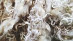 Ruwe Wol te Koop - Per Zak!, Hobby en Vrije tijd, Stoffen en Lappen, Gebruikt, Wol, 120 cm of meer, Wit