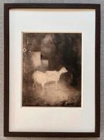 Jan Mankes 1889-1920 / Heliogravure Geitjes in Bos 1923, Ophalen of Verzenden