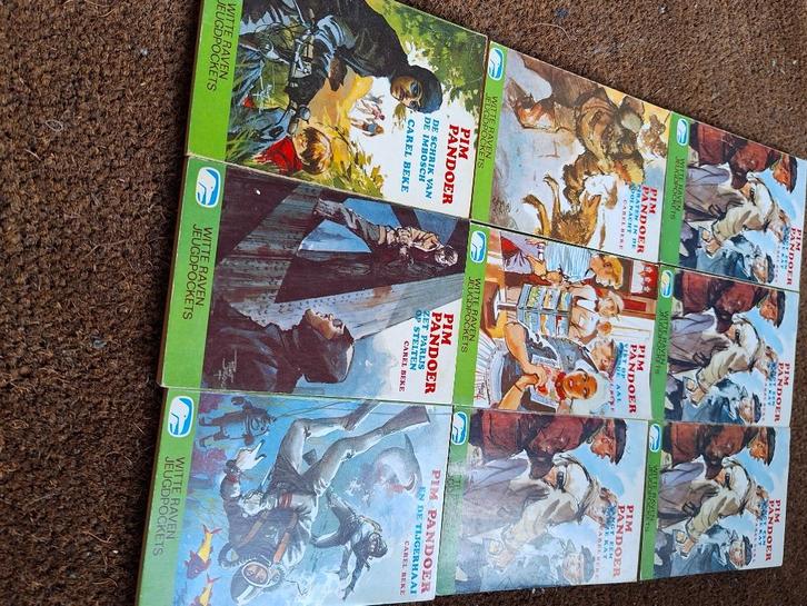 Pim Pandoer pocket delen, Boeken, Kinderboeken | Jeugd | 10 tot 12 jaar, Zo goed als nieuw, Ophalen of Verzenden