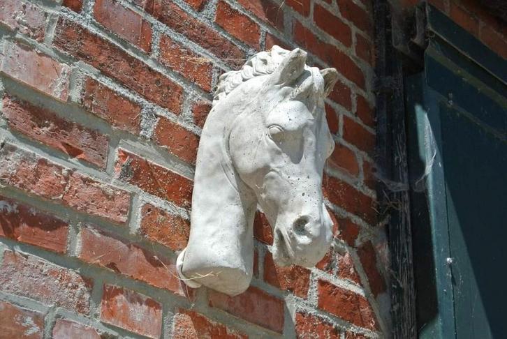 Stalling, Dieren en Toebehoren, Stalling en Weidegang, Stalling