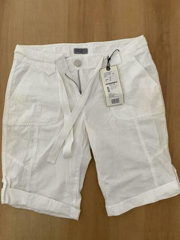 Nieuw: Tom Tailor dames short /korte broek - Maat 38  beschikbaar voor biedingen