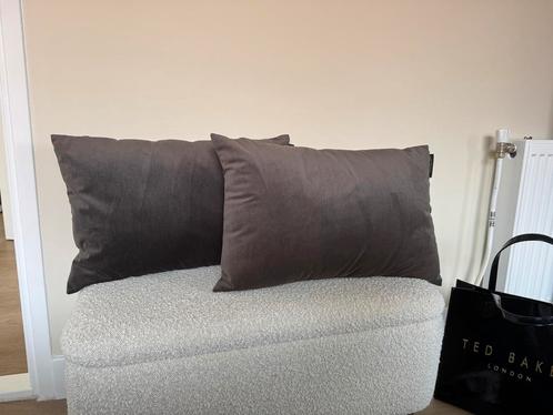 Ted sparks velvet sierkussens 60x40cm, Huis en Inrichting, Woonaccessoires | Kussens, Zo goed als nieuw, Grijs, Rechthoekig, Ophalen