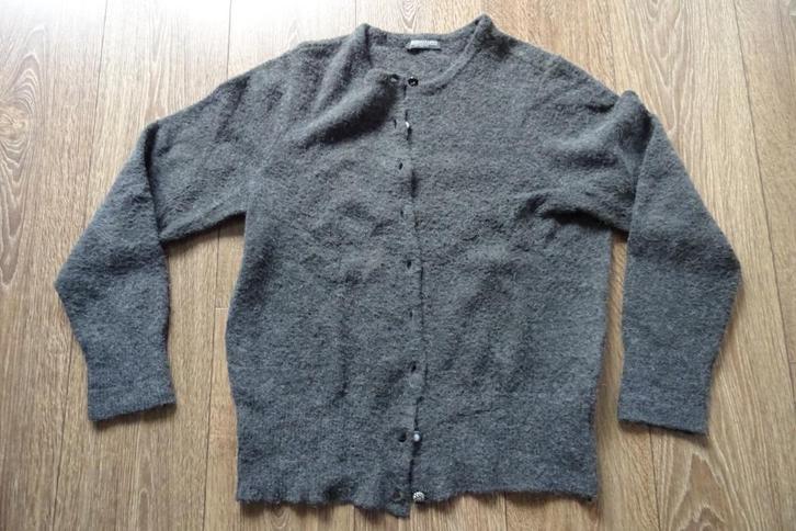 Mooi grijs vest maat 44 Roberto Sarto, Kleding | Dames, Truien en Vesten, Zo goed als nieuw, Maat 42/44 (L), Grijs, Ophalen of Verzenden