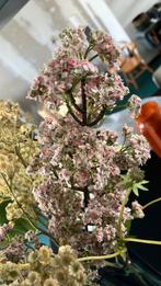 Voorjaar boeket zijden bloemen 9 stuks excl vaas, Ophalen of Verzenden, Zo goed als nieuw