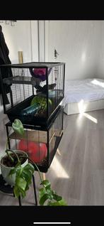 Knaagdieren kooi / ratten kooi met toebehoren, Dieren en Toebehoren, Knaagdieren en Konijnen | Hokken en Kooien, Ophalen, Hamster