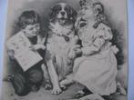 Antieke Kaart uit 1904 - Kinderen / Hond / Boek, Ongelopen, Kinderen, Voor 1920, Verzenden