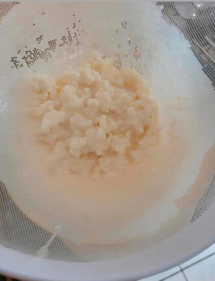 Biologische Tibetaanse melkkefir korrels
Is op rauwe melk ge, Diversen, Levensmiddelen, Ophalen of Verzenden