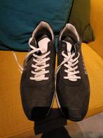 Gaastra sneakers mt47, Kleding | Heren, Ophalen, Zo goed als nieuw