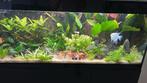 Aquael glossy hoogglans 150 cm aquarium met meubel, Dieren en Toebehoren, Vissen | Aquaria en Toebehoren, Ophalen, Gebruikt, Overige typen