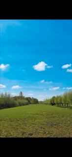 Te huur:stalling en weidegang, Dieren en Toebehoren, Stalling en Weidegang, Weidegang, 1 paard of pony