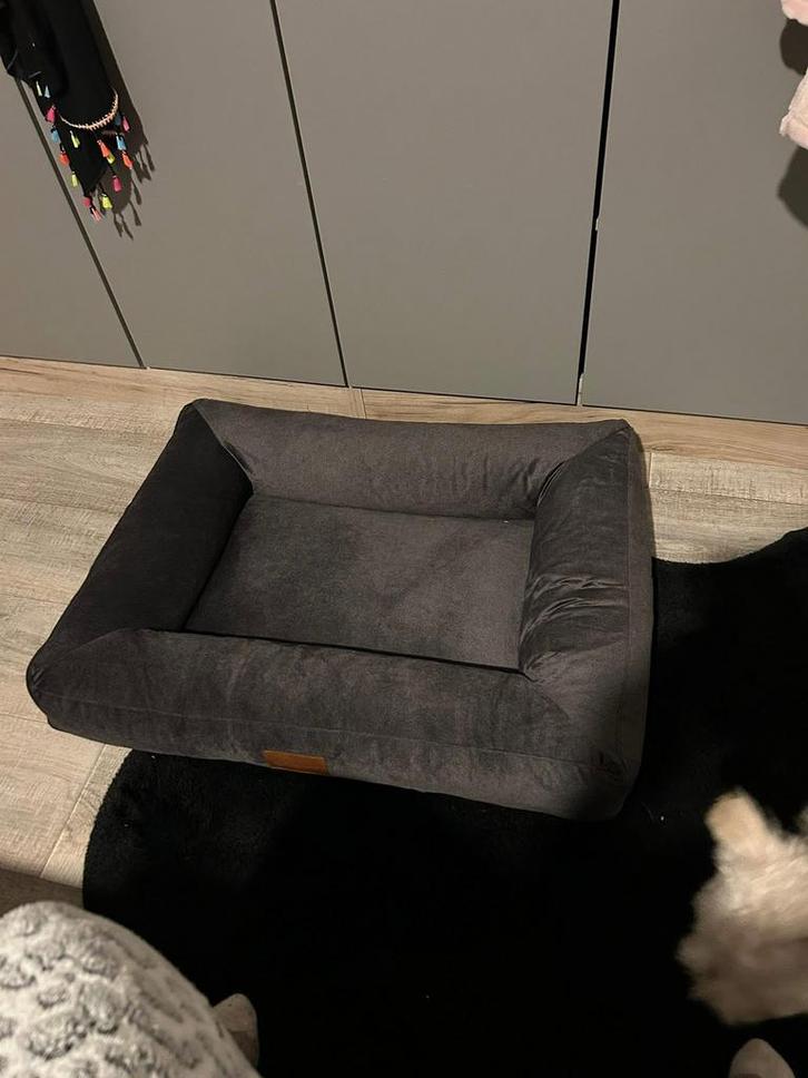 Hondenmand Petlando, Dieren en Toebehoren, Hondenmanden, Nieuw, Stof, Ophalen of Verzenden