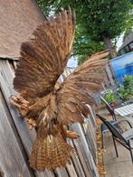 Prachtige opgezette buizerd met prooi tussen poten (+vogels), Dieren en Toebehoren, Mannelijk