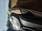 Supernet 16 inch pony zadel dressuur  knight rider, Ophalen of Verzenden, Dressuur
