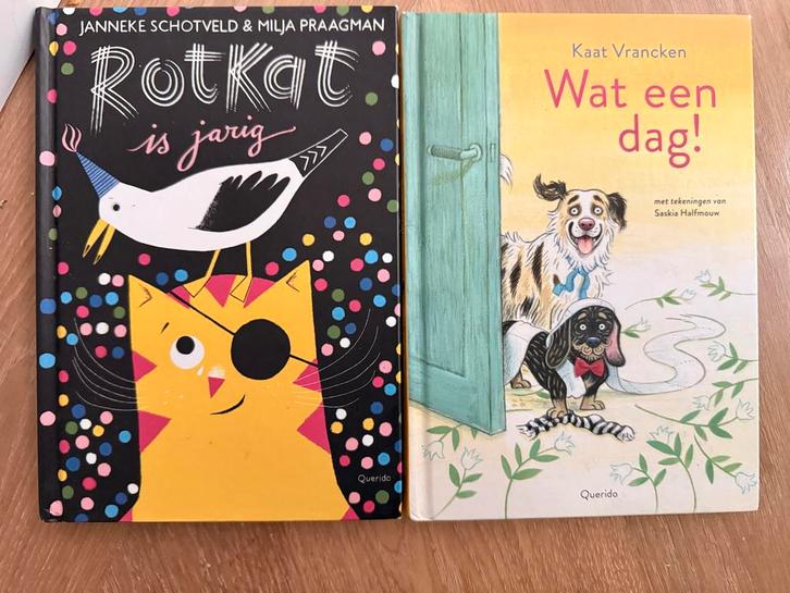 2 Tijgerlezen Kinderboeken - Rotkat is jarig & wat een dag, Boeken, Kinderboeken | Jeugd | onder 10 jaar, Gelezen, Fictie algemeen