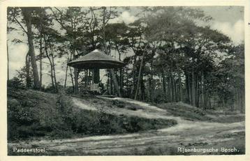 (388-333-045) Driebergen-Rijsenburg Paddenstoel beschikbaar voor biedingen