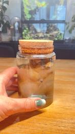 Gerbil op sterk water, Ophalen, Nieuw, Opgezet dier