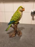 Parkiet, Ophalen of Verzenden, Zo goed als nieuw, Mens