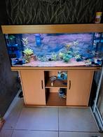 Juwel, Dieren en Toebehoren, Vissen | Aquaria en Toebehoren, Ophalen of Verzenden, Zo goed als nieuw, Gevuld zoetwateraquarium