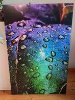 2x plexiglas muurkunst van Xi art, Ophalen