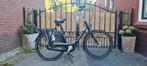 gazelle mpb dames 49 3 versnelling nexus, Ophalen, 47 tot 50 cm, Zo goed als nieuw, Handrem