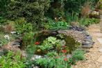 Gezocht: vijverplanten en vissen, Tuin en Terras, Vijvers, Ophalen of Verzenden, Zo goed als nieuw