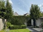 Sier Perenboom / sierperen 3 stuks, Tuin en Terras, Overige soorten, Lente, 250 tot 400 cm, Ophalen