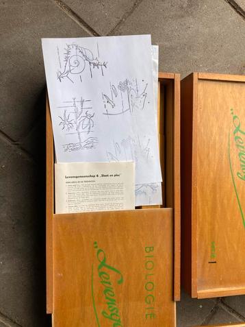 Biologie Stempels - Vintage Schoolmateriaal beschikbaar voor biedingen