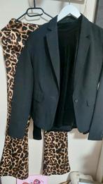 kolbert zwart, Ophalen of Verzenden, Zo goed als nieuw, Maat 36 (S), Zwart