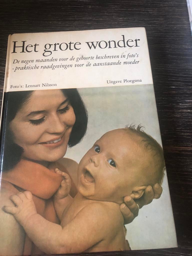 Het Grote Wonder - Zwangerschap en Bevalling, Boeken, Ophalen of Verzenden, Gelezen, Zwangerschap en Bevalling
