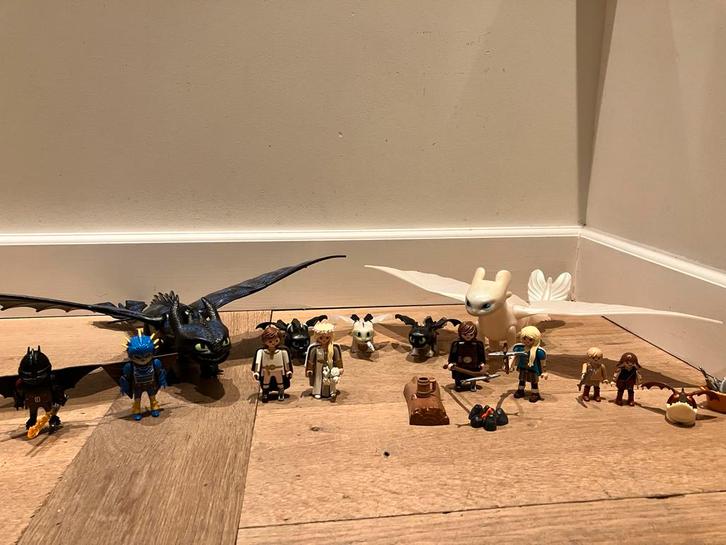 Hoe tem je een draak Playmobil, Kinderen en Baby's, Speelgoed | Playmobil, Zo goed als nieuw, Complete set, Ophalen of Verzenden