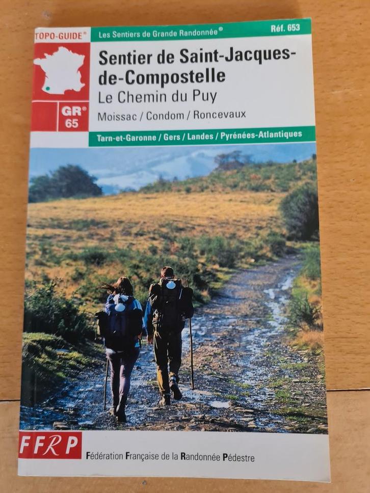 Wandelgids Sentier de Saint-Jacques-de-Compostelle, Boeken, Reisgidsen, Zo goed als nieuw, Fiets- of Wandelgids, Europa, Overige merken