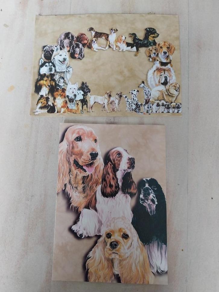 Mooie ansicht kaart met envelop verschillende hondjes NIEUW, Verzamelen, Ansichtkaarten | Dieren, Ongelopen, 1980 tot heden, Hond of Kat