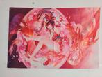 Honkai Impact/ Star Rail Sparkle poster 40x60, Ophalen of Verzenden