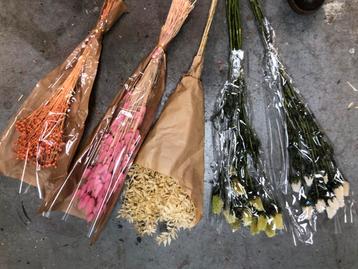 Droogbloemen Bosjes - Diverse Kleuren beschikbaar voor biedingen
