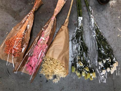 Droogbloemen Bosjes - Diverse Kleuren, Huis en Inrichting, Woonaccessoires | Droogbloemen, Nieuw, Ophalen of Verzenden