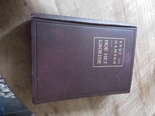 Antiek boek "Hoe het groeide"  Knut Hamsum, Antiek en Kunst, Antiek | Boeken en Bijbels, Ophalen of Verzenden