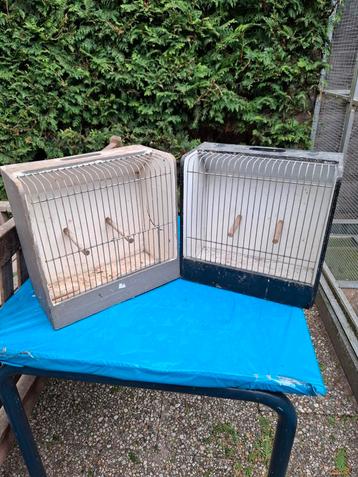 Twee TT kooitjes TEAB beschikbaar voor biedingen