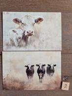 KOEIEN 2, Ophalen, Voor 1920, Hond of Kat