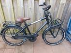 Jongensfiets merk Golden Lion 20 inch, Fietsen en Brommers, Ophalen, Gebruikt, 20 inch