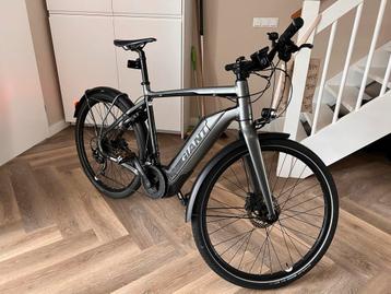 Giant Elektrische Fiets beschikbaar voor biedingen
