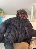 Winterjas Scotch & Soda, Kleding | Dames, Zwart, Maat 46/48 (XL) of groter, Scotch & Soda, Ophalen of Verzenden