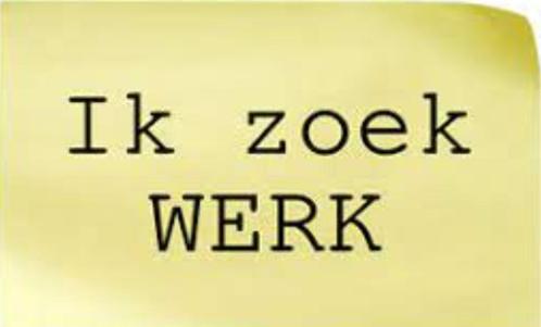 Werk gezocht (Chauffeur/koerier/bijrijder), Vacatures, Profielen | Man/Vrouw zoekt werk, 33 - 40 uur, Rijbewijs B, Bouwnijverheid