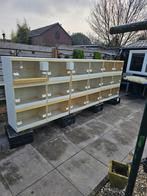 18 broed kunststof kooien van pascal hemel  zie foto's, Ophalen