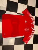 Ajax adidas shirt 164, Adidas, Ophalen of Verzenden, Zo goed als nieuw, Shirt of Longsleeve
